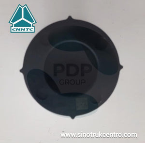 FILTRO DE GAS BAJA PRESION SITRAK CNG SINOTRUK D1